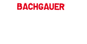 Bachgauer Rocknacht • Bachgauer Rocknacht #XII